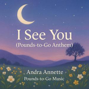 I See You (Pounds-to-Go Anthem)