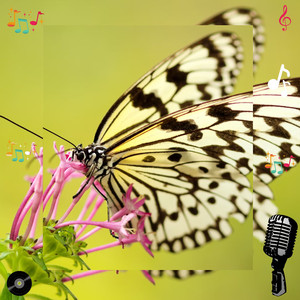 Qyntharix Velyzor (Original Mix)