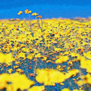 Granular