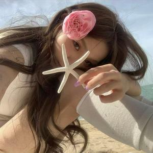 你把爱情给了谁