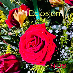 Eclosión (Instrumental Version)