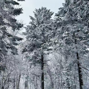 铁衣照雪 2.0