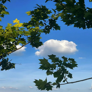 婴儿入睡催眠曲 水声疗愈