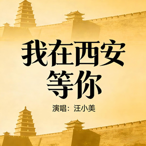 我在西安等你
