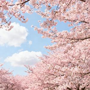 十里桃花