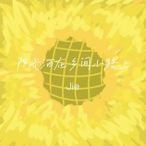 阳光洒在乡间小路上