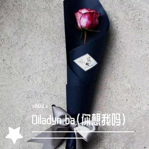 SAFER-Oiladyn ba(你想我吗)____sAiDuLa（remix）（sAiDuLa remix）