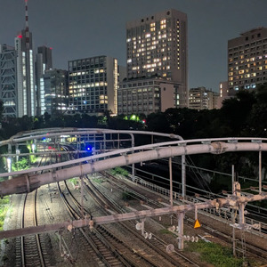 ジンバブエブエ・ループ