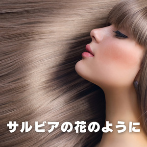 サルビアの花のように