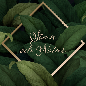 Simulerade fåglar på natten