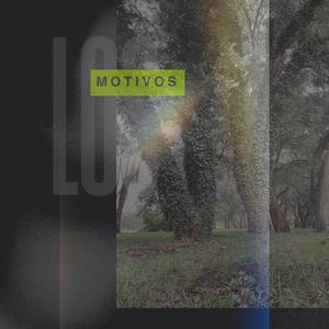 Los motivos