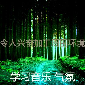 抚慰的正在学习回忆