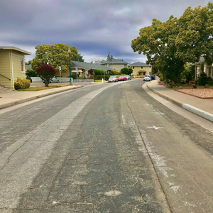 You Wanted to Die so Your Hair Turned Green