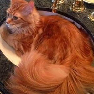 The Bigger Picture (slowed)