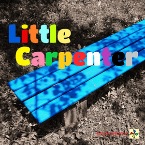 Little Carpenter