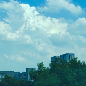 那年夏天宁静的海