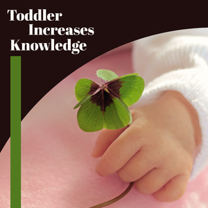 String Quartet No. 8 in E Minor, Op. 59 No. 2: I. Allegro