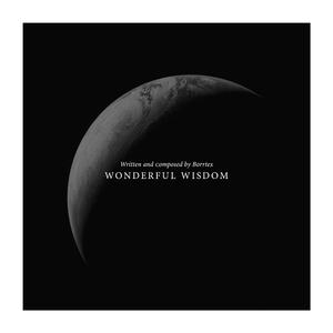 Wonderful Wisdom (Narrated)