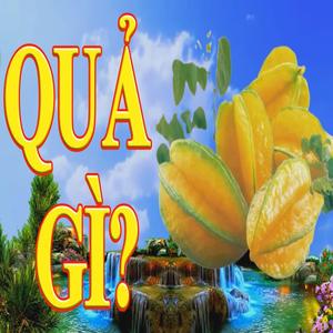 LIÊN KHÚC QUẢ GÌ - NHẠC THIẾU NHI