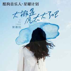 大概是风太大了吧 (DJ京仔版)