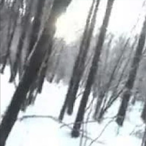 jane remover x shoegaze x indie rock type beat