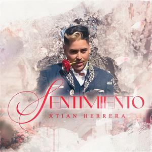 Sentimiento