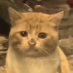 以爱之名你还愿意吗