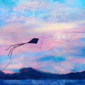 追风筝的孩子(男生版) 伴奏