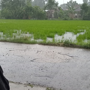 Terluka karnamu (Cover)