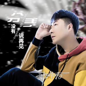 分手没有说再见（DJ何鹏）