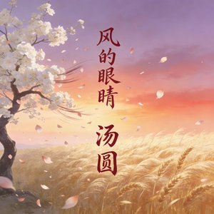 风的眼睛_1.wav