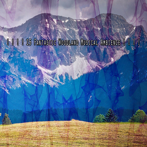 在自然奇觀的世界中