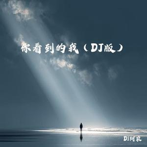 你看到的我（DJ版）