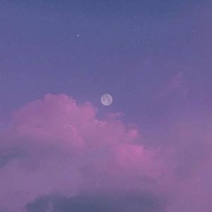 我怀疑你曾来过