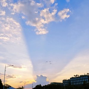 那句没说出口的喜欢