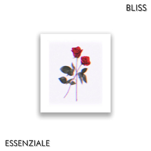 Bliss