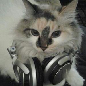 Please, do it for me..