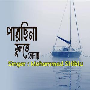 Parchina Bhulta Tomay