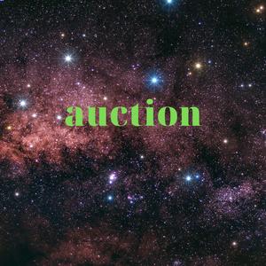 Auction
