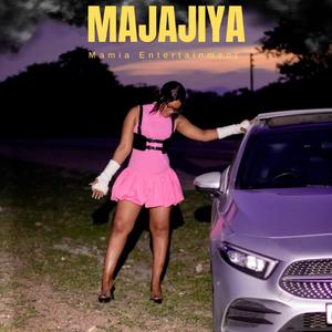 Majajiya