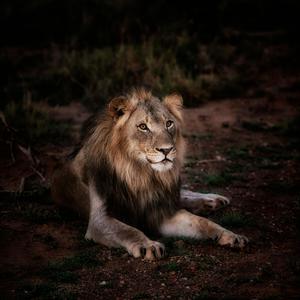 অনেক ভুলে