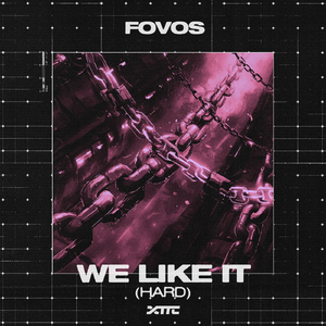 We Like It (Hard) (Extended Mix)