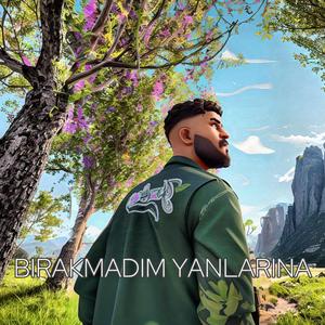 BIRAKMADIM YANLARINA