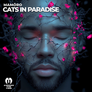 Cats in Paradise