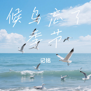 候鸟忘了季节