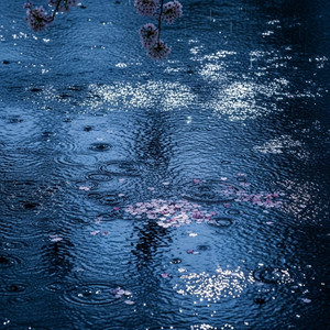 Night Walker (Piano Remix)