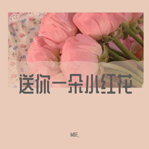 送你一朵小红花（翻自 赵英俊）