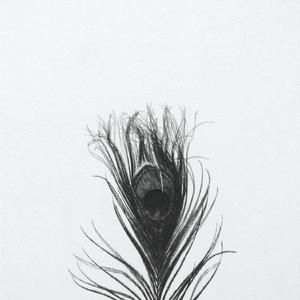 Volemore