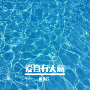 夏夜最后的烟火（Cover）