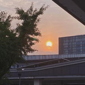 今天也想见到你